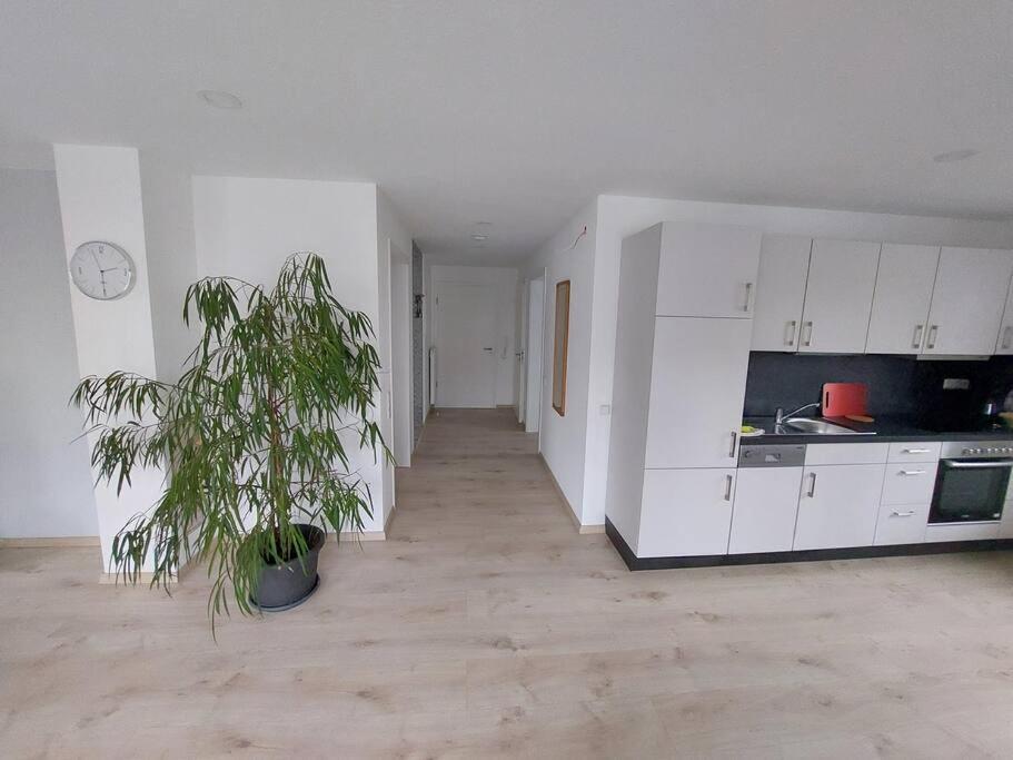 Ferienwohnung Koenigsquelle Bad Wildungen Exteriör bild